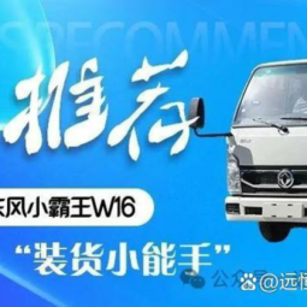 东风小霸王W16汽油-双排后双:高效动力与实用空间的完美结合